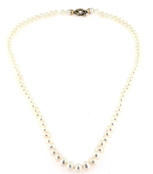 Halskette Forever Gioielli Dame Collana Perle in Gold Perla FGCO00438 - FGCO00438